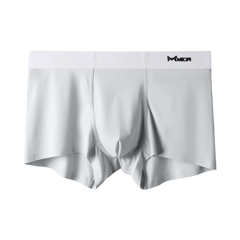 Ice Microfiber Boxer Briefs