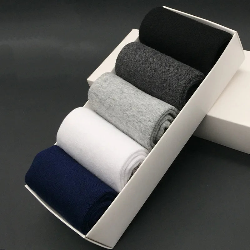 Kit of 5 men's cotton mid-calf socks