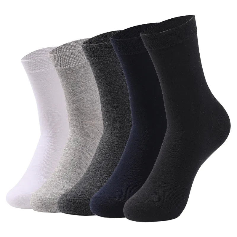 Kit of 5 men's cotton mid-calf socks